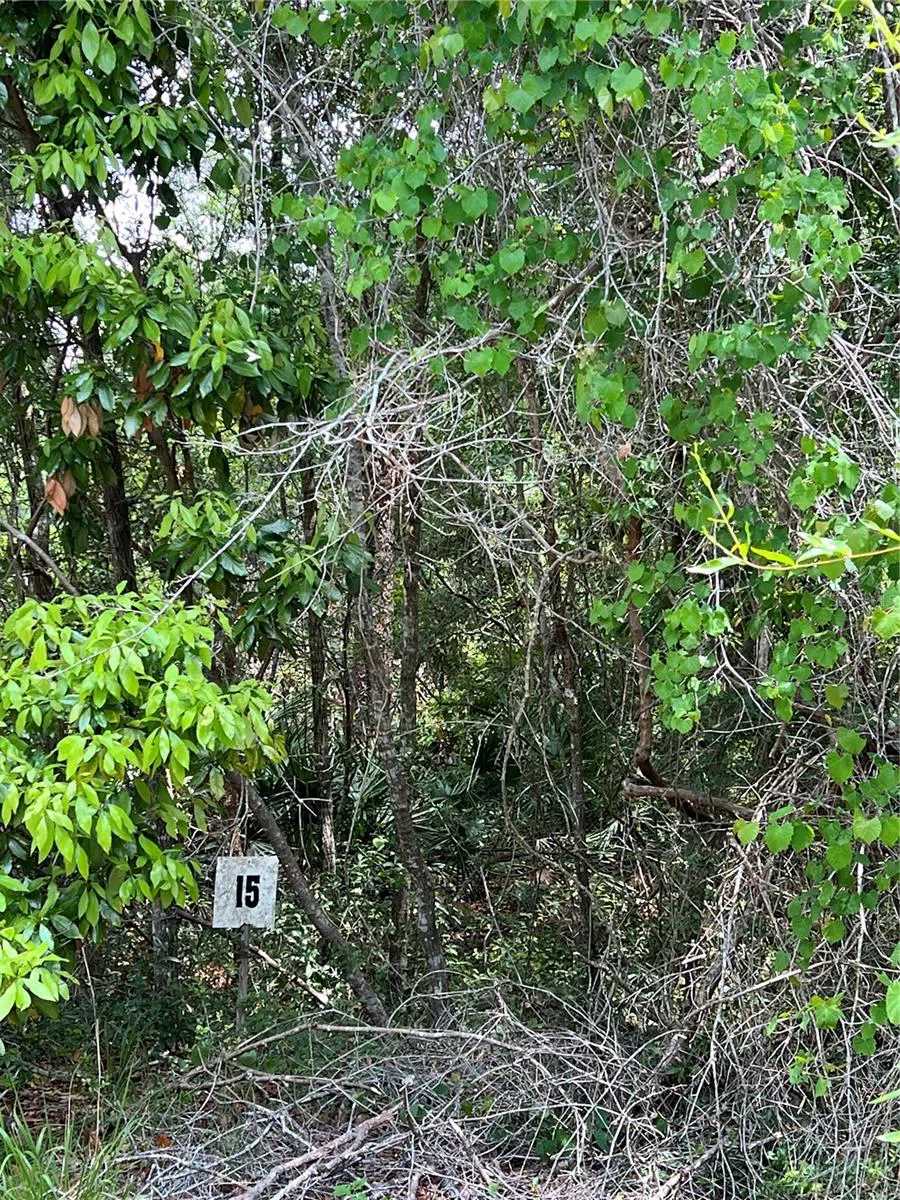 0 NW 70TH CIRCLE Chiefland, FL 32626