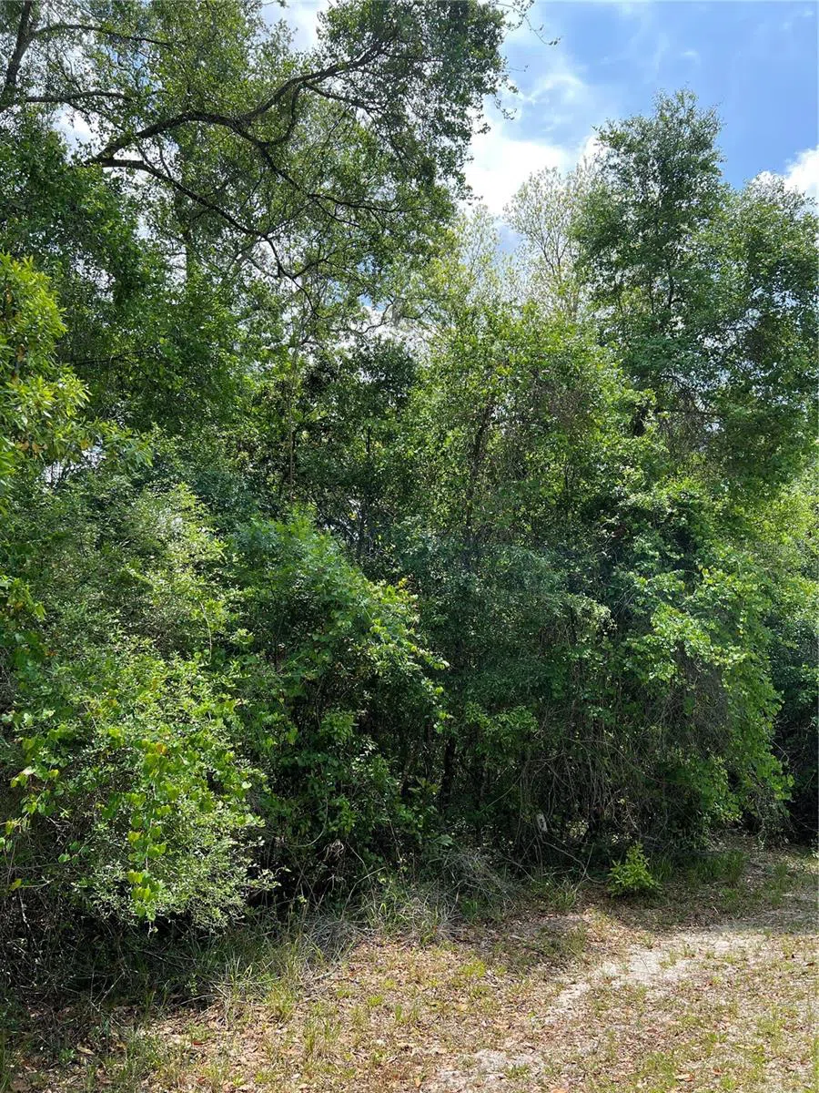 0 NW 70TH CIRCLE Chiefland, FL 32626