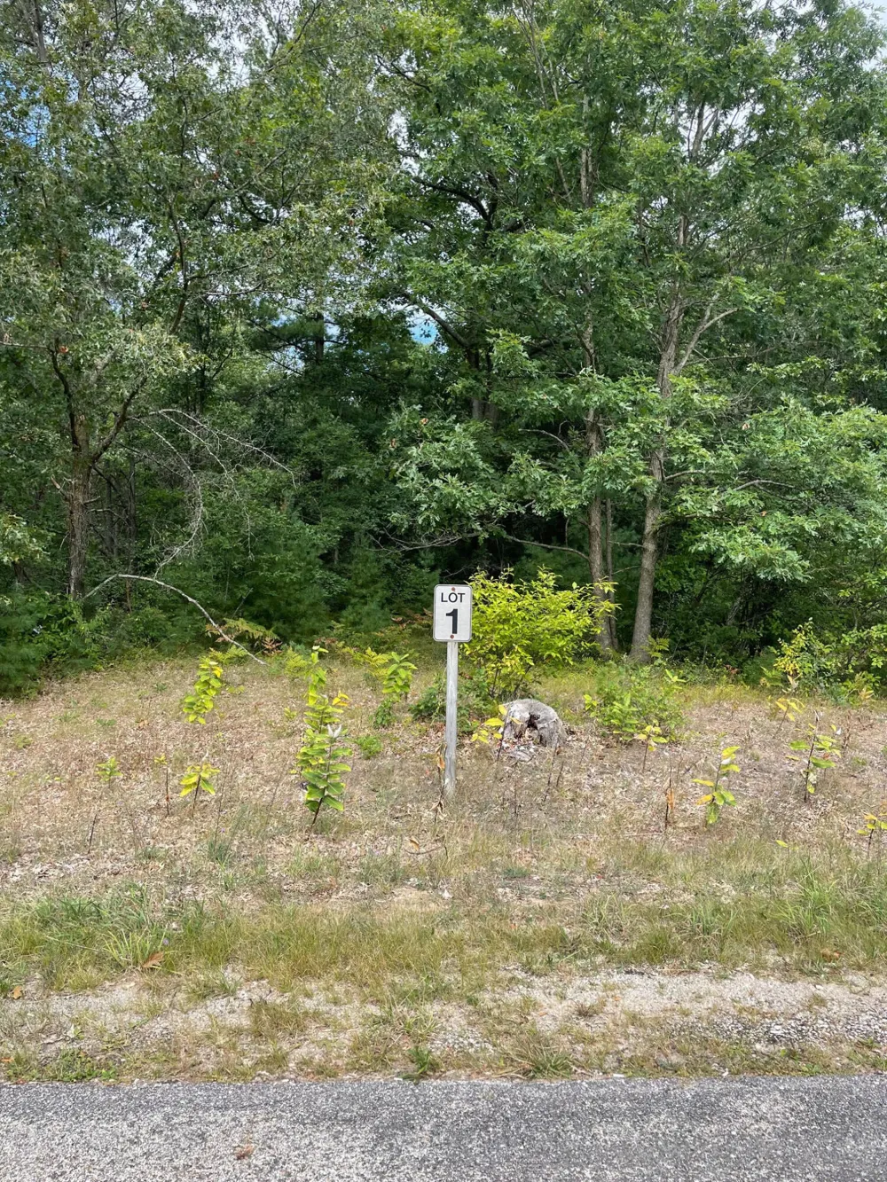 1 Renaissance Park Manistee, MI 49660