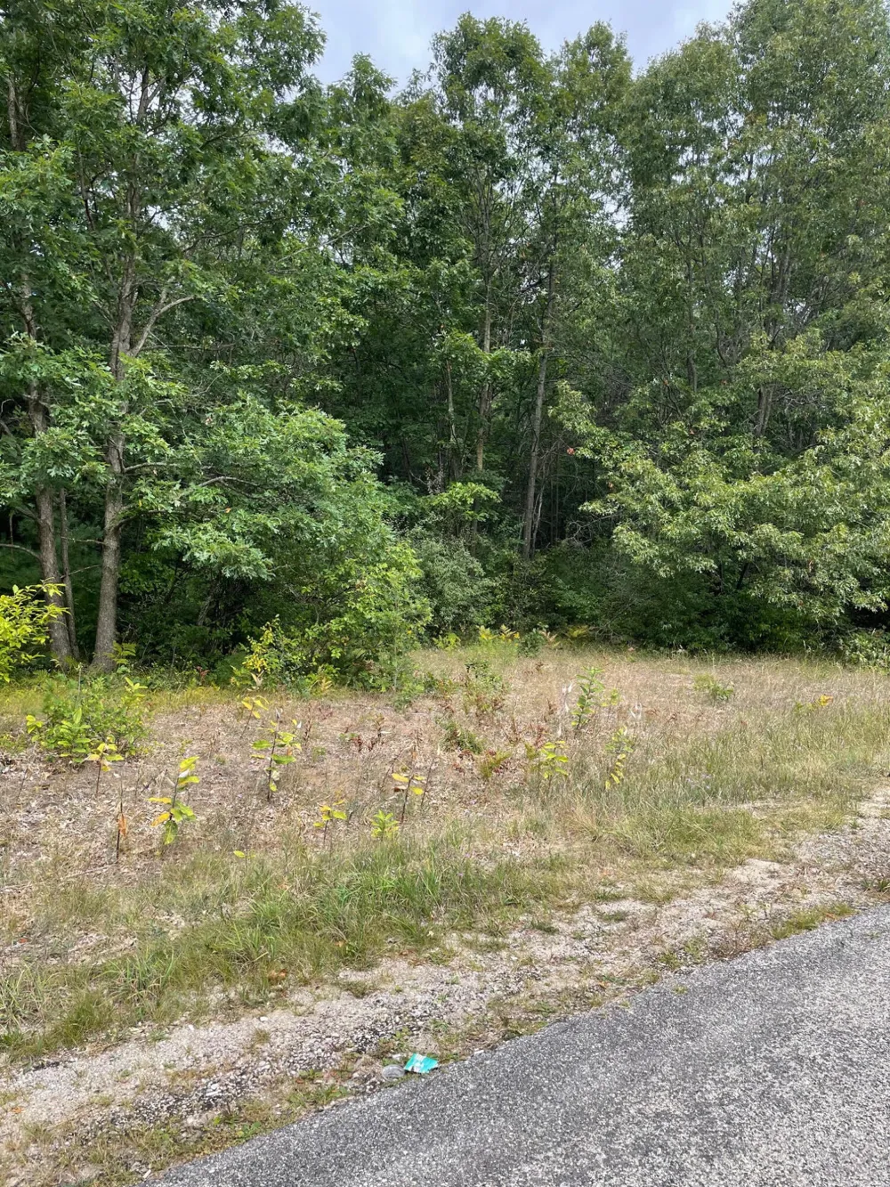 1 Renaissance Park Manistee, MI 49660