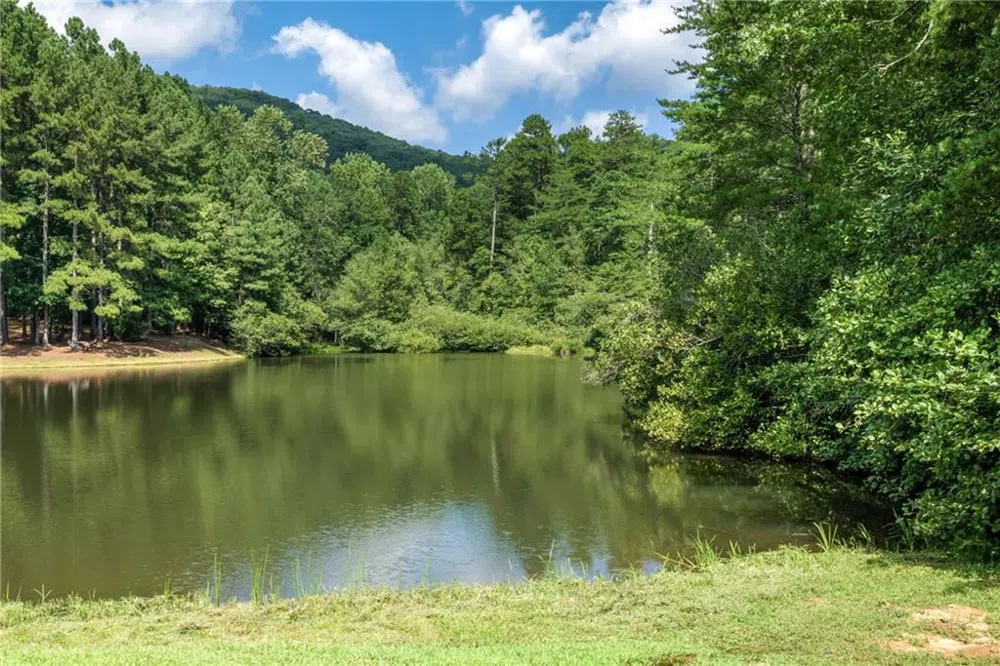 0 Golden Lane Clarkesville, GA 30523