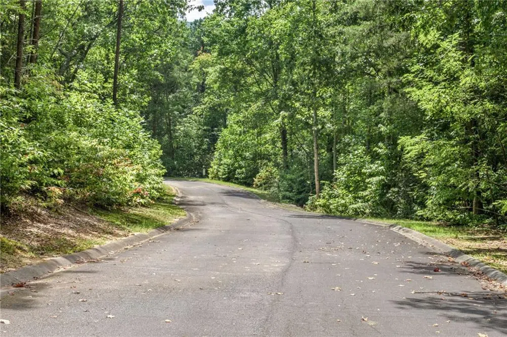 0 Golden Lane Clarkesville, GA 30523