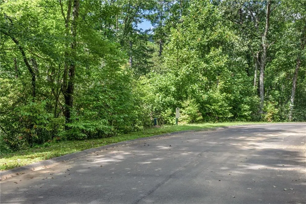 0 Golden Lane Clarkesville, GA 30523