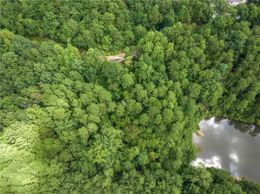 0 Golden Lane Clarkesville, GA 30523