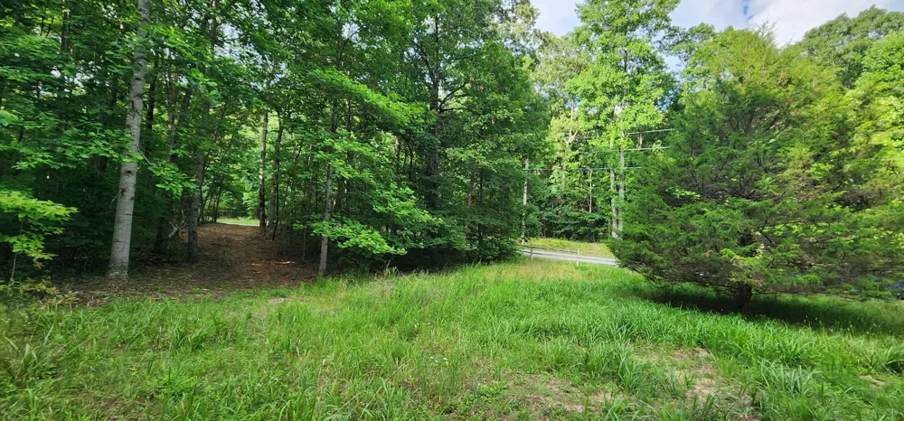 0 Tootley Campbell Rd Monteagle, TN 37356