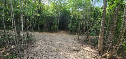 0 Tootley Campbell Rd