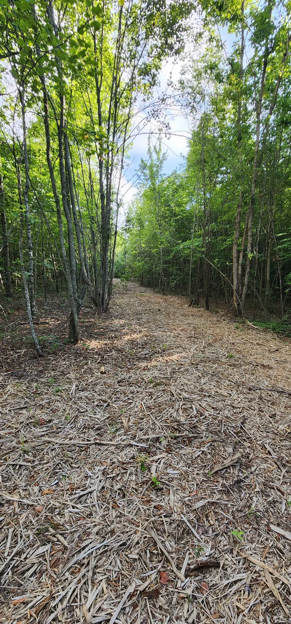 0 Tootley Campbell Rd Monteagle, TN 37356