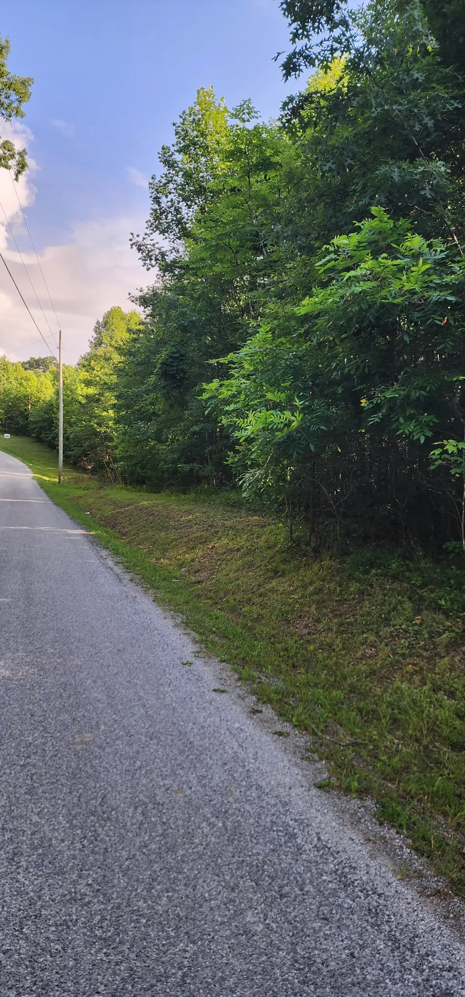 0 Tootley Campbell Rd Monteagle, TN 37356