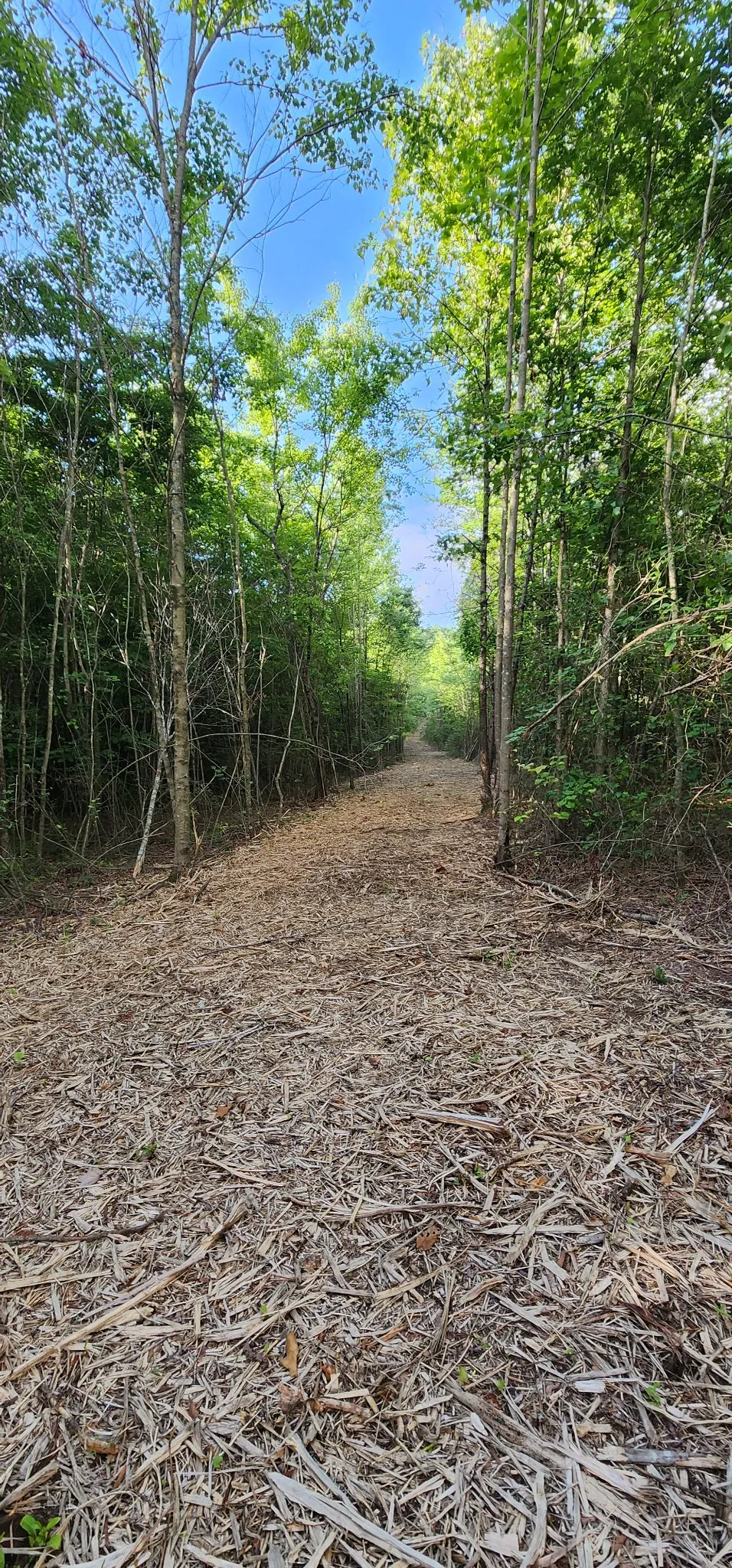 0 Tootley Campbell Rd Monteagle, TN 37356
