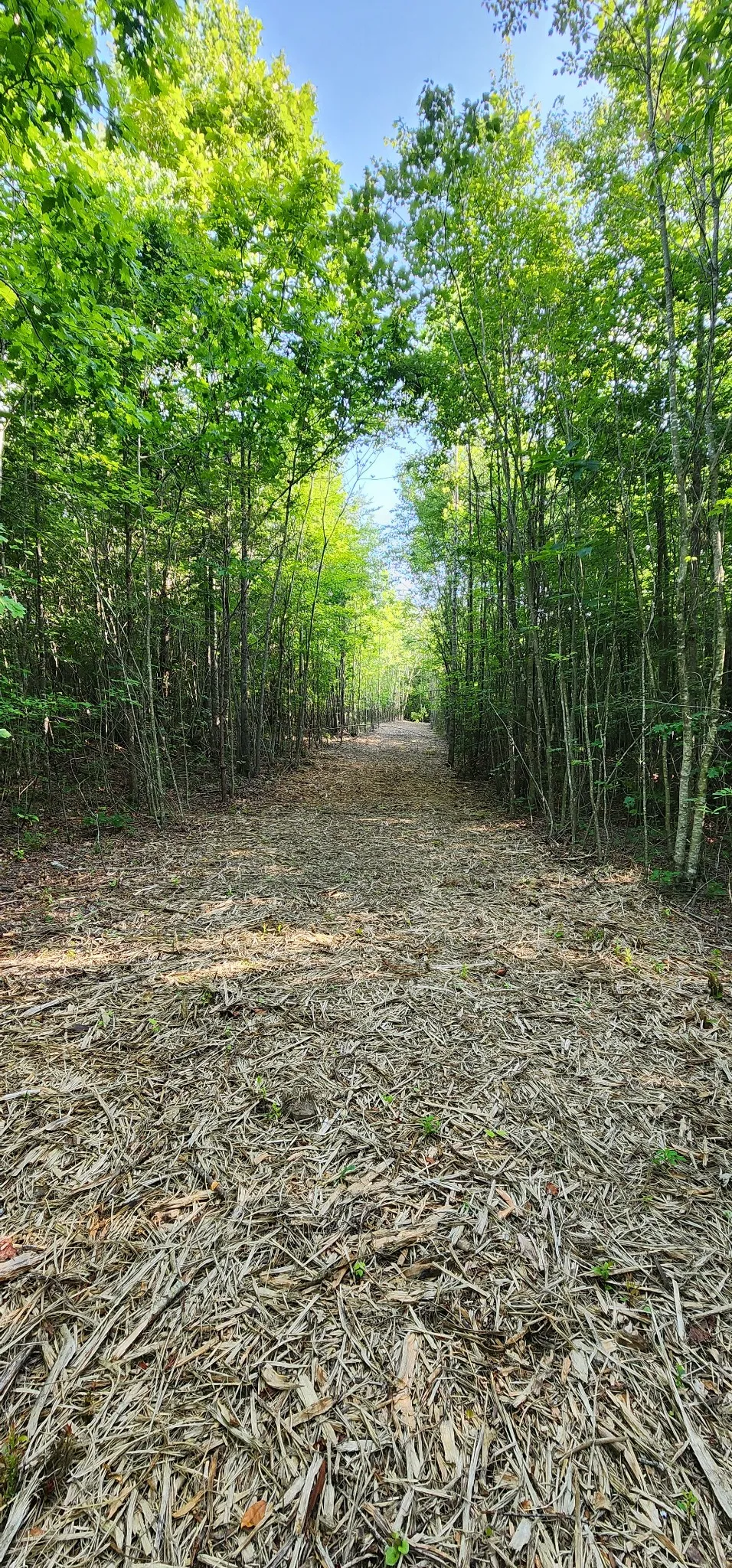 0 Tootley Campbell Rd Monteagle, TN 37356