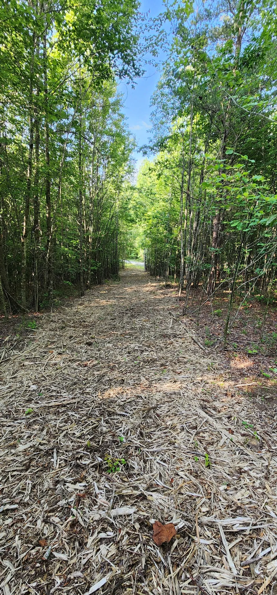 0 Tootley Campbell Rd Monteagle, TN 37356