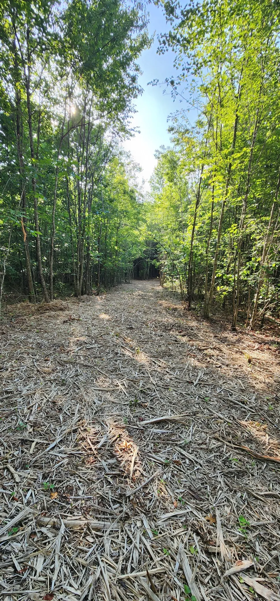 0 Tootley Campbell Rd Monteagle, TN 37356