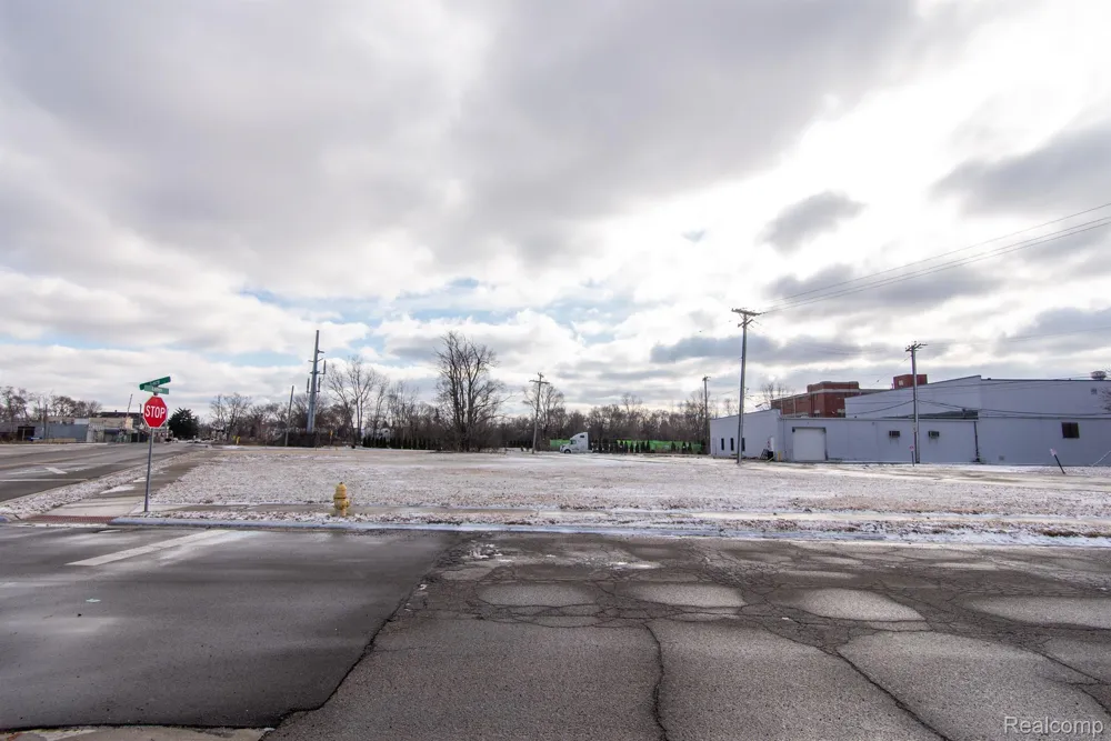 8511 LONYO STREET Dearborn City, MI 48126