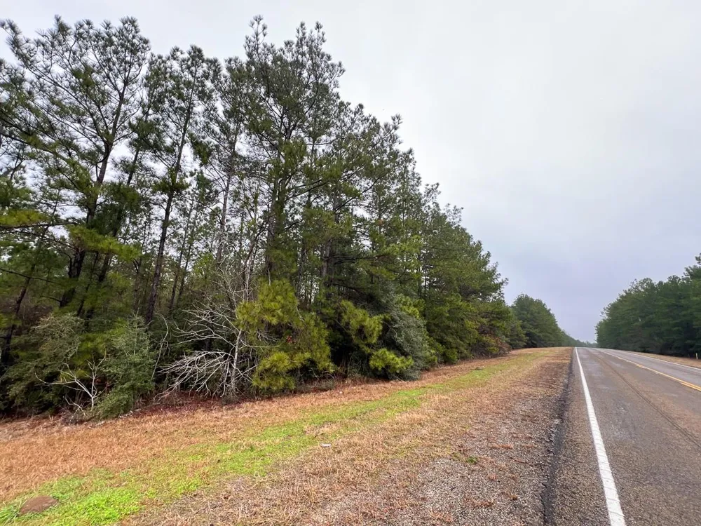 2 Rec Road 255 Colmesneil, TX 75938