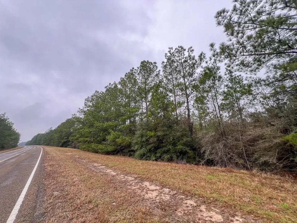 2 Rec Road 255 Colmesneil, TX 75938