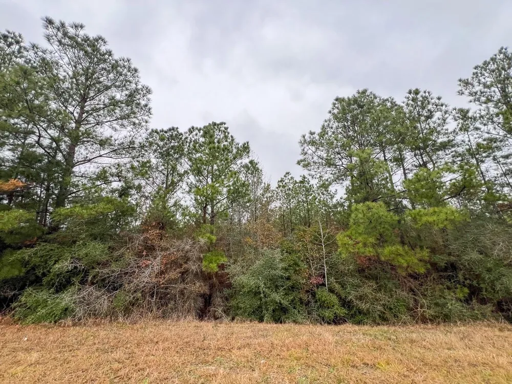 2 Rec Road 255 Colmesneil, TX 75938