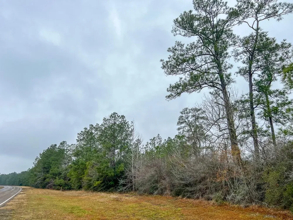 1 Rec Road 255 Colmesneil, TX 75938