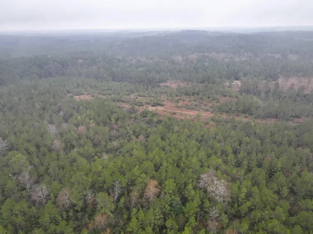4 Rec Road 255 Colmesneil, TX 75938