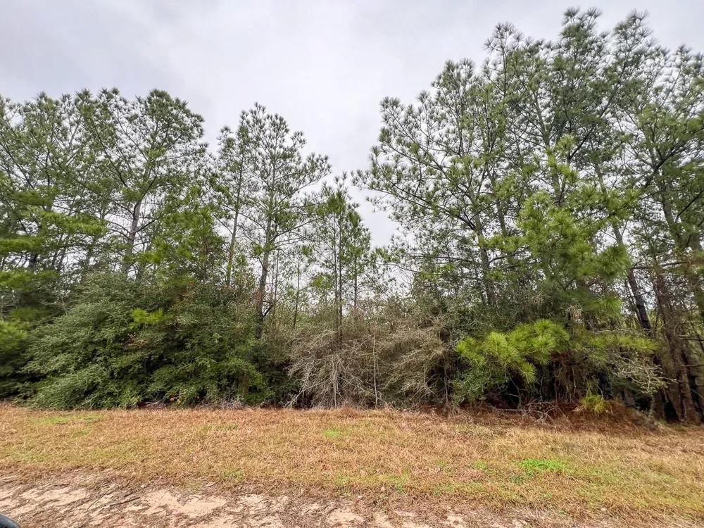4 Rec Road 255 Colmesneil, TX 75938