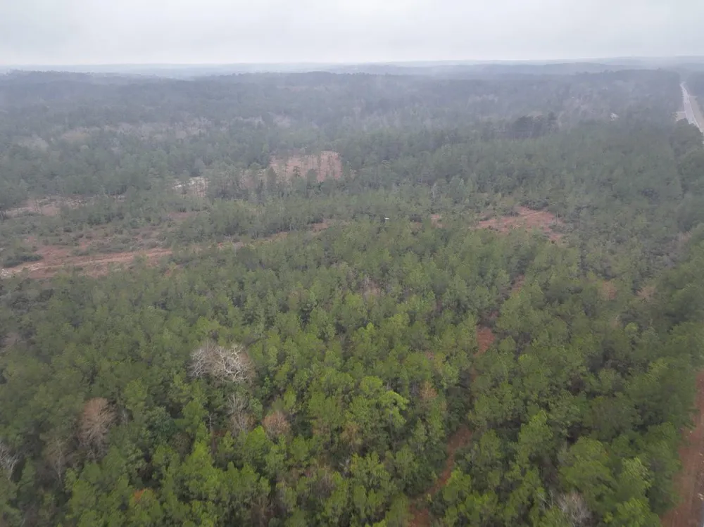 3 Rec Road 255 Colmesneil, TX 75938