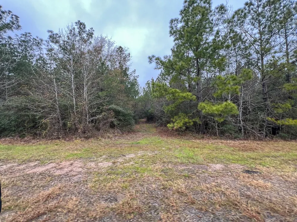 3 Rec Road 255 Colmesneil, TX 75938