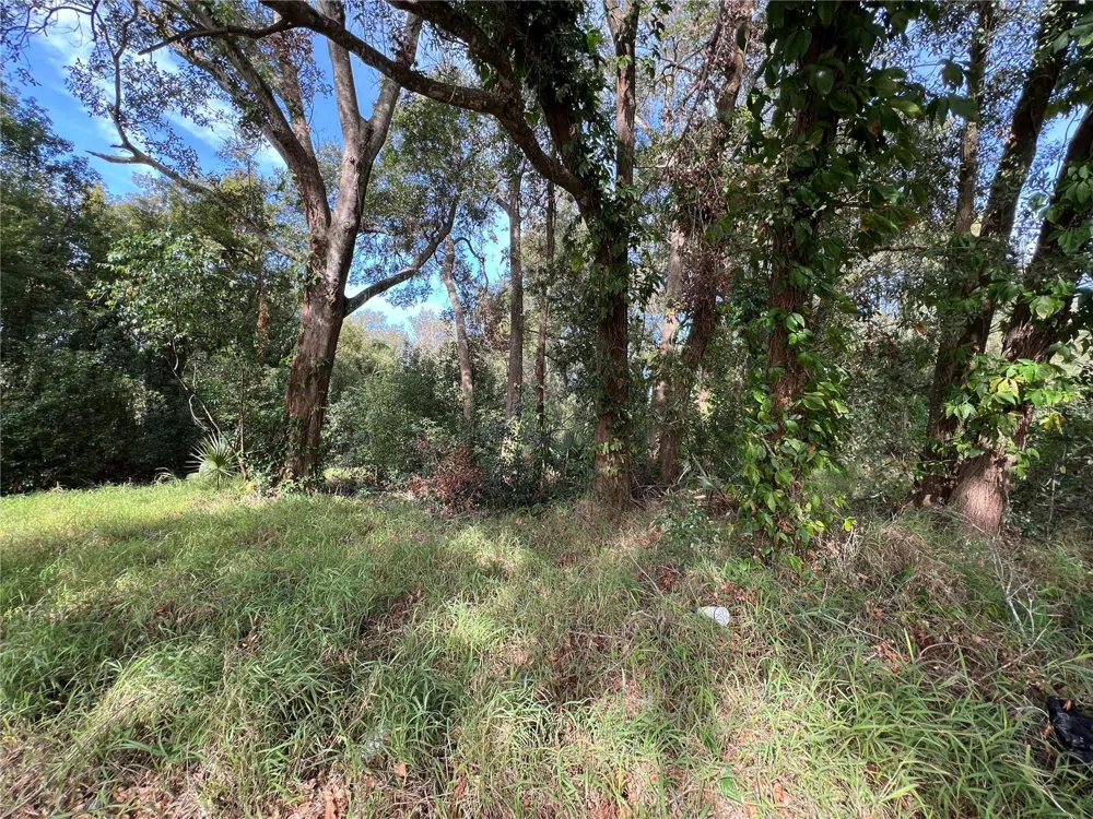 875 OCOEE APOPKA ROAD Apopka, FL 32703