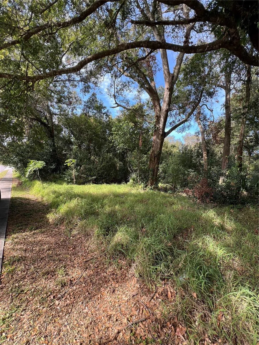 875 OCOEE APOPKA ROAD Apopka, FL 32703