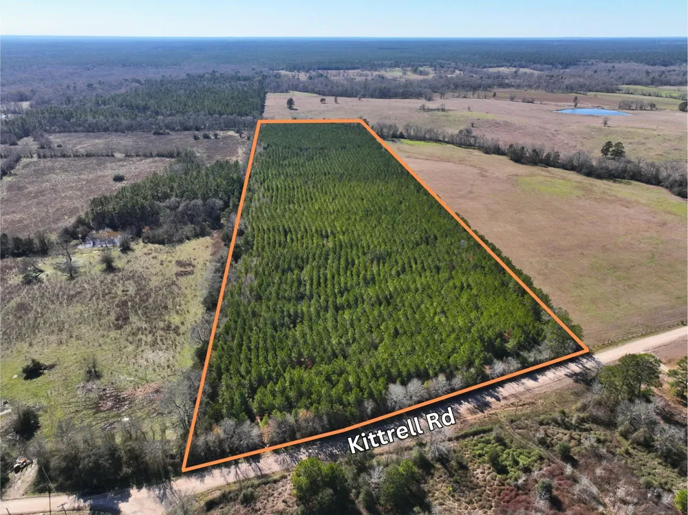 1 Kittrell Road Oakhurst, TX 77359