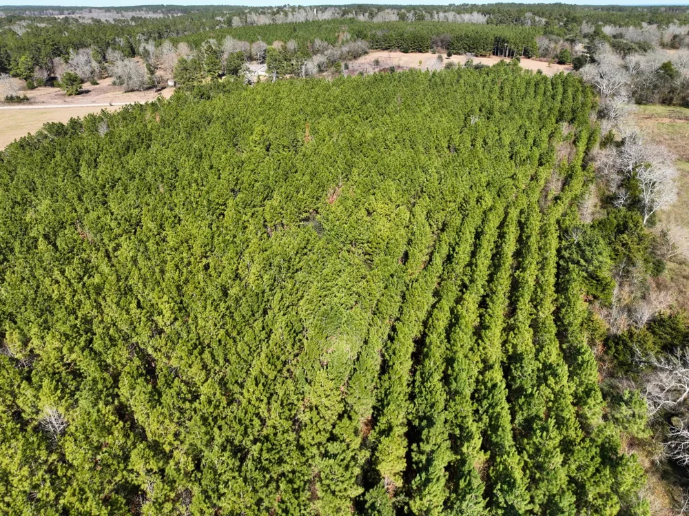 1 Kittrell Road Oakhurst, TX 77359