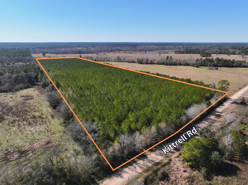 1 Kittrell Road Oakhurst, TX 77359