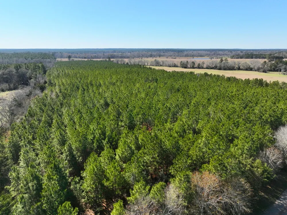 1 Kittrell Road Oakhurst, TX 77359