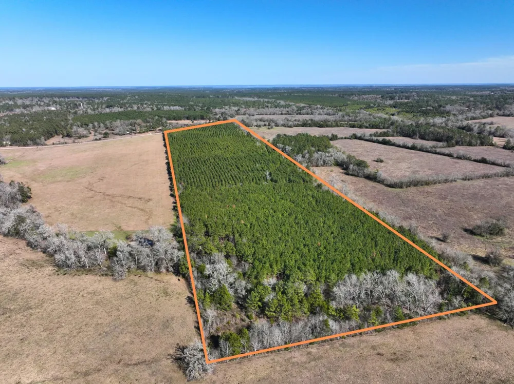 1 Kittrell Road Oakhurst, TX 77359