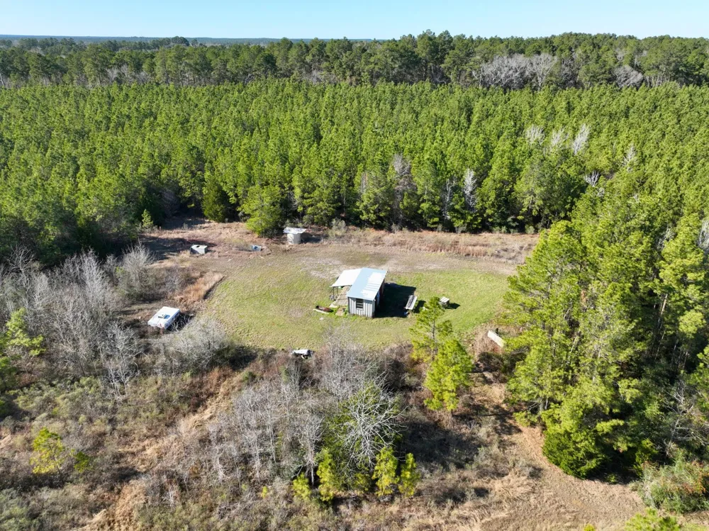 Kittrell Road Oakhurst, TX 77359