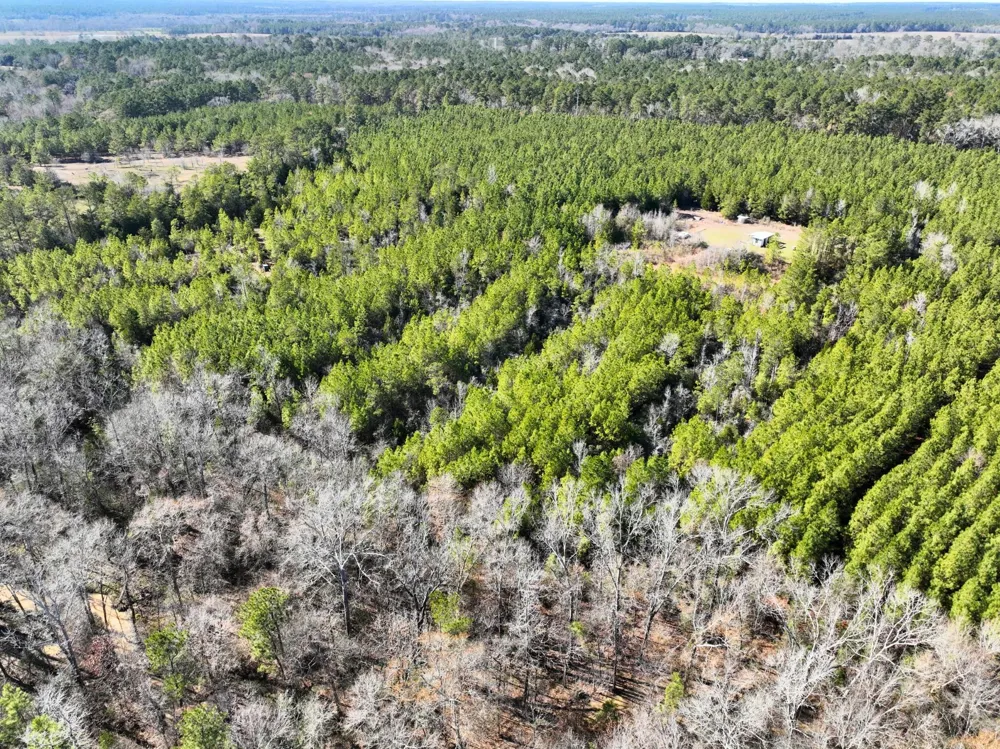 Kittrell Road Oakhurst, TX 77359