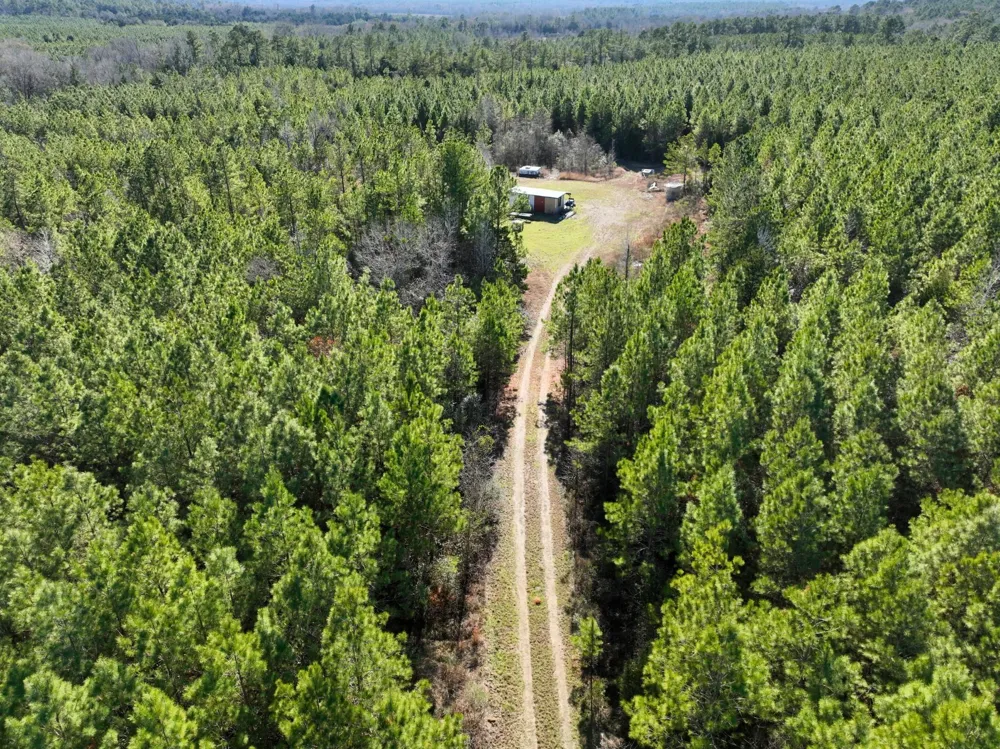 Kittrell Road Oakhurst, TX 77359