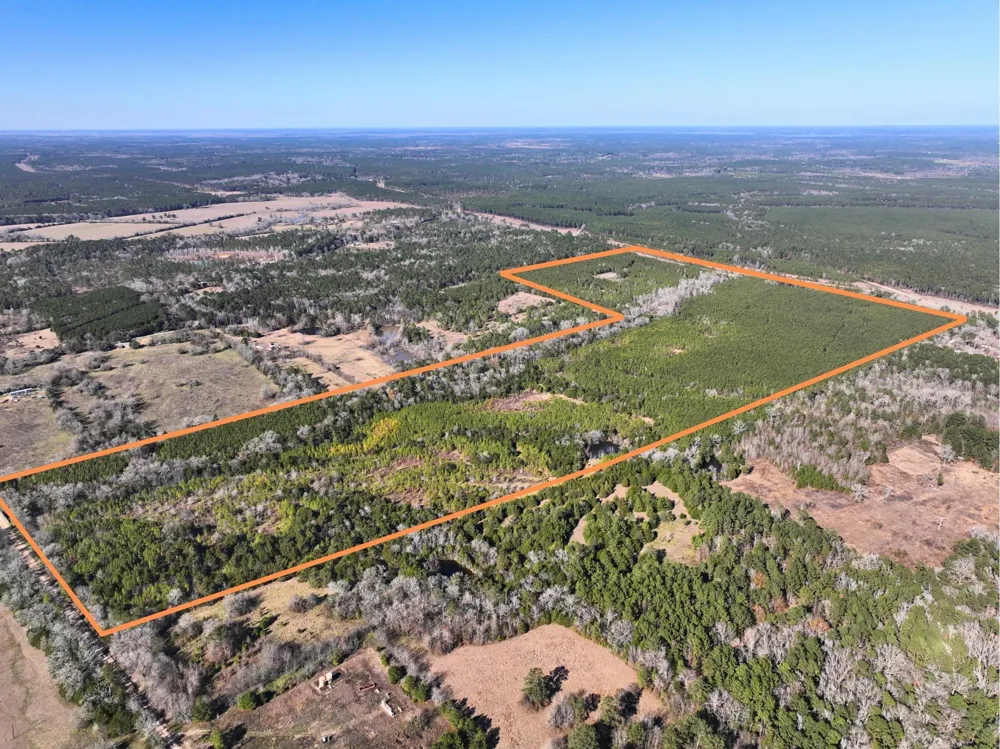 Kittrell Road Oakhurst, TX 77359