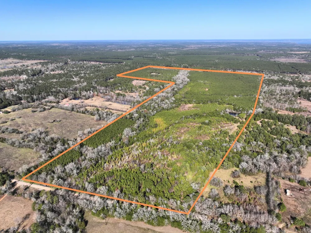 Kittrell Road Oakhurst, TX 77359