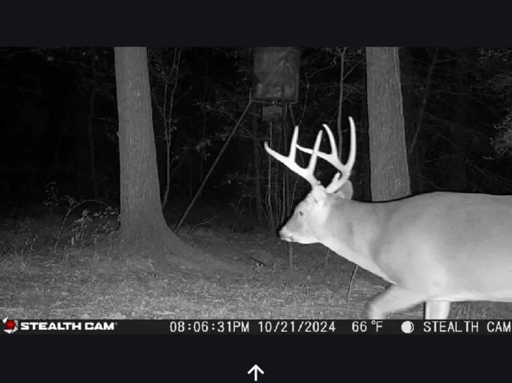 Kittrell Road Oakhurst, TX 77359