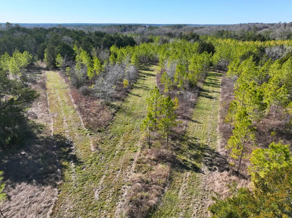 Kittrell Road Oakhurst, TX 77359