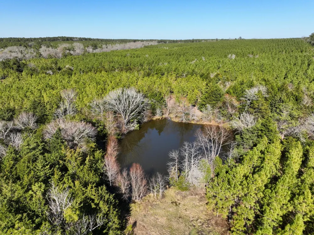 Kittrell Road Oakhurst, TX 77359