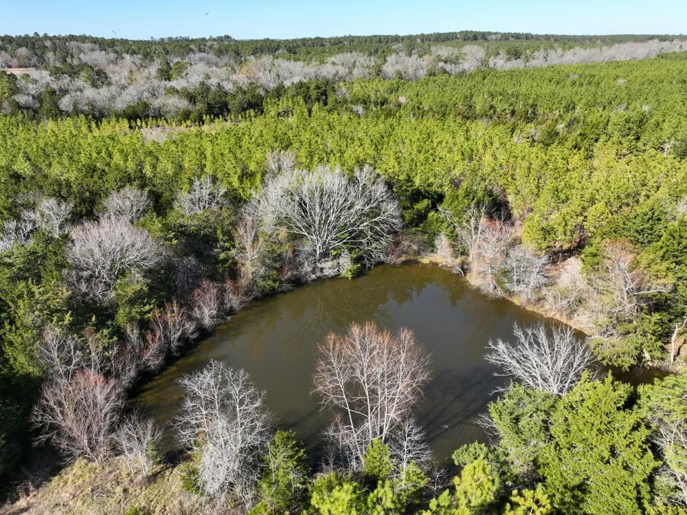Kittrell Road Oakhurst, TX 77359