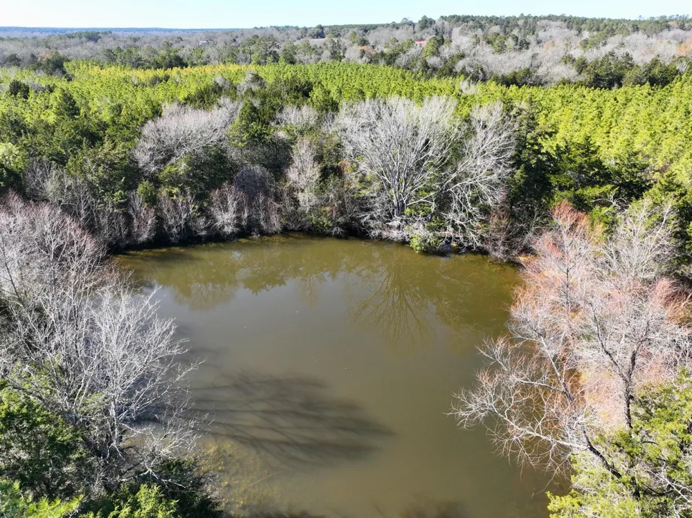 Kittrell Road Oakhurst, TX 77359
