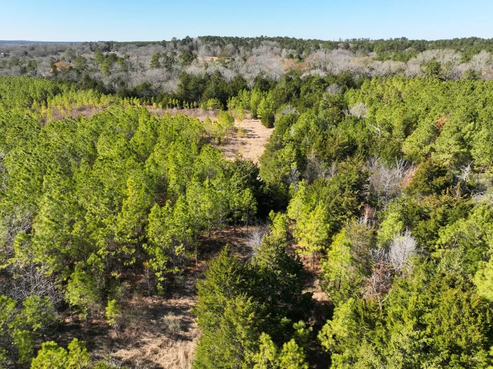 Kittrell Road Oakhurst, TX 77359