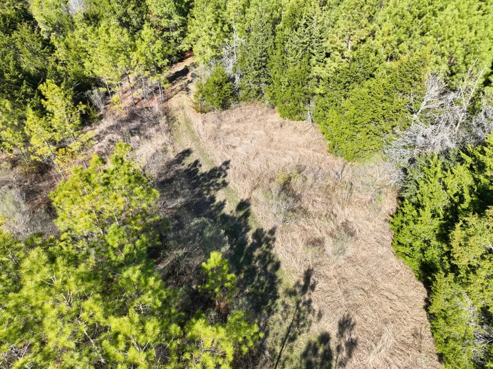 Kittrell Road Oakhurst, TX 77359