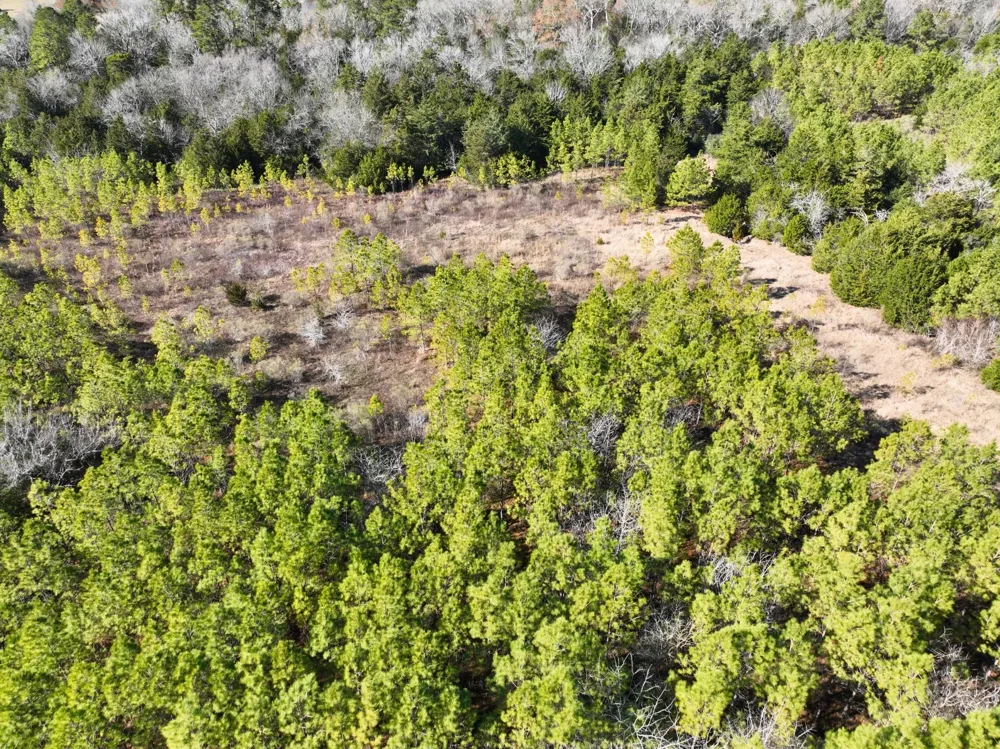 Kittrell Road Oakhurst, TX 77359