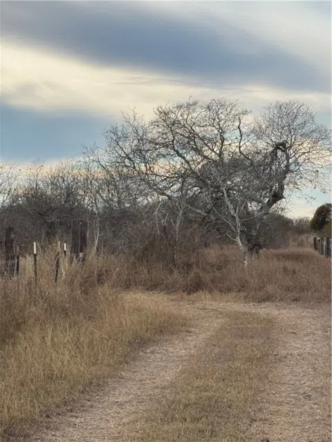 County Road 3463