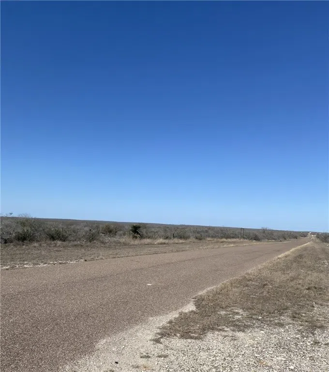 142 Toro Spur 13 (approx. 20.28 acres) San Diego, TX 78384