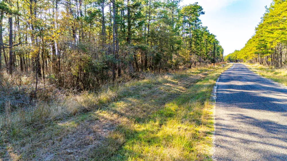 39 Sportsman Retreat Road Onalaska, TX 77360