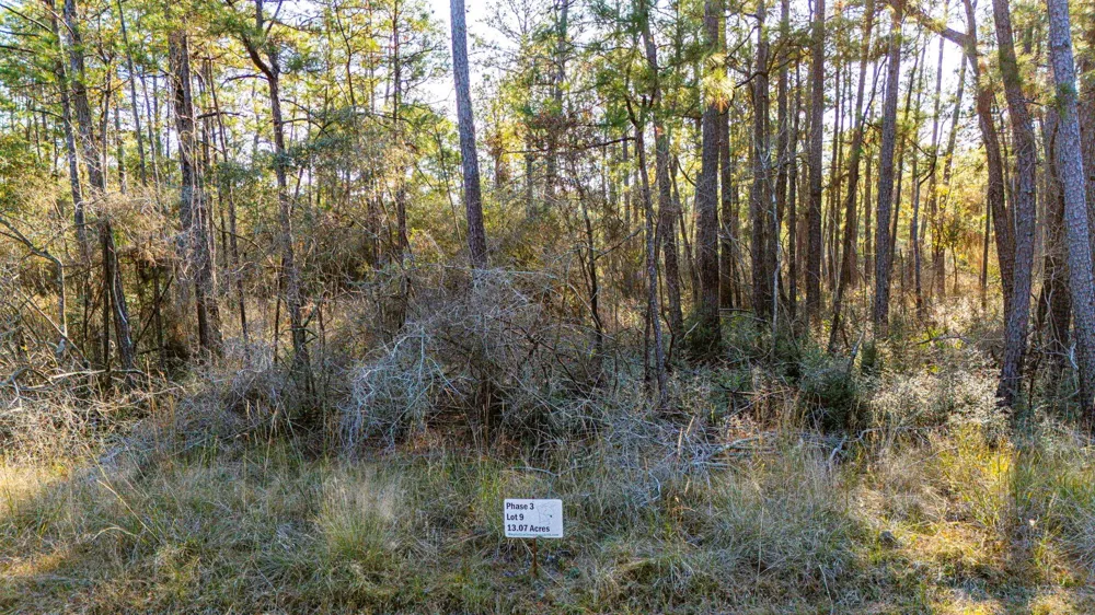 39 Sportsman Retreat Road Onalaska, TX 77360
