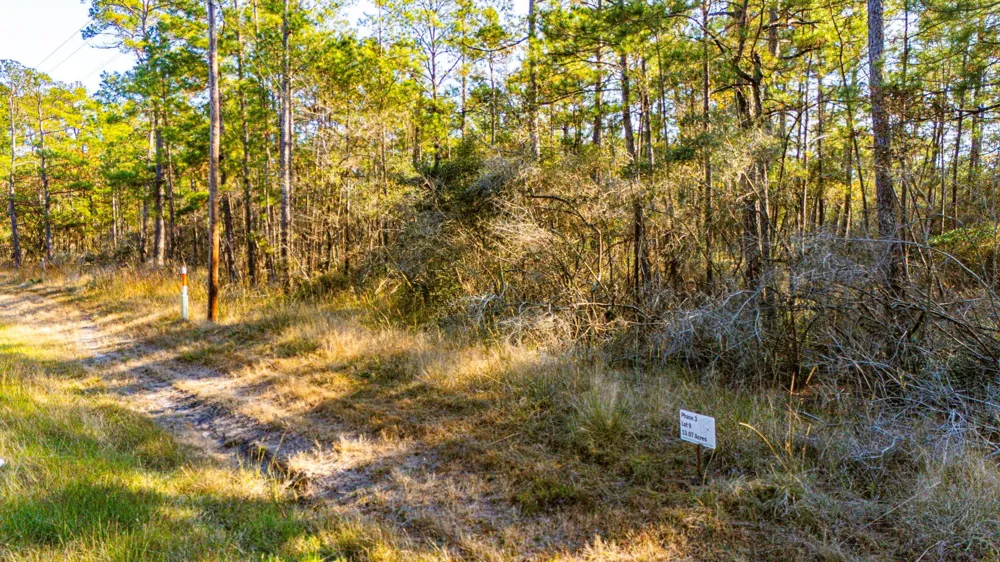 39 Sportsman Retreat Road Onalaska, TX 77360